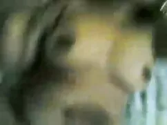 WOLFFBIKER फुल एचडी  ...