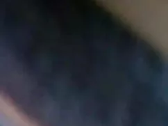 बंगला सौंदर्य और जान ...