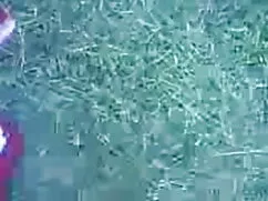 श्यामला समुद्र बीएफ  ...