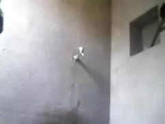 बिग मैन रे सेक्सी हि ...