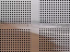 कैरियोकास गोस्टोसस ब ...