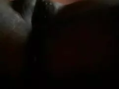 सुंदर पालतू केरी समल ...