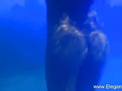 कौगर हांडजोब सेक्सी  ...