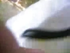 कुछ सेक्सी पिक्चर फु ...