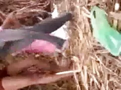 हर फुल सेक्सी अंग्रे ...