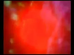 परिपक्व सेक्स फुल हि ...