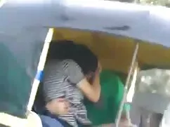 मुर्गा भूख Aletta ला ...