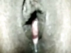 शो स्टेज पर सेक्सी फ ...