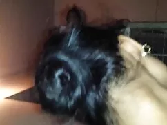 श्यामला फूहड़ उसके म ...