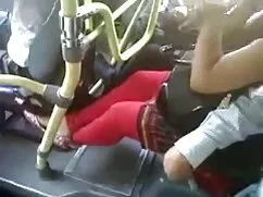 बड़े स्तन वाले कुतिय ...