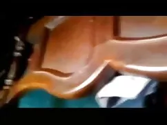 समुद्री मोज़ा में गो ...