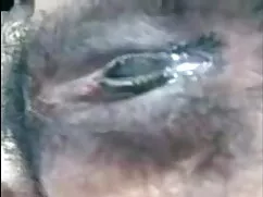 विशाल titted गोरा bb ...