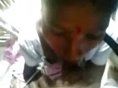 परिपक्व कैरोलिना एक  ...