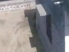 बिग तैसा ब्रिट सोफी  ...