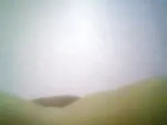 लेसी डू वेले को एक म ...