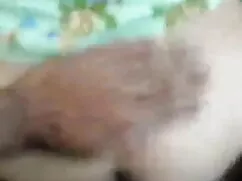 Cfnm सेक्सी हिंदी फु ...